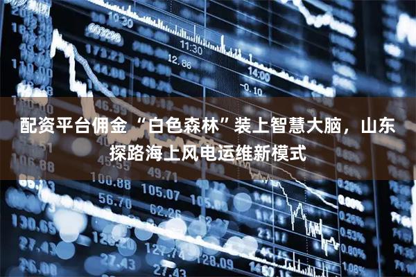 配资平台佣金 “白色森林”装上智慧大脑，山东探路海上风电运维新模式